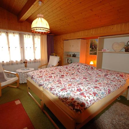 Pristine Home In A Charming Village Large Grassy Sunbathing Area View Of The M Nch And Jungfrau Wilderswil Exterior photo